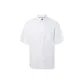 Pure White W031