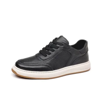 A Fairy Tale Of A Pair Of Shoes Low Top Skateboard Shoes Men's