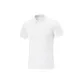 Standard White