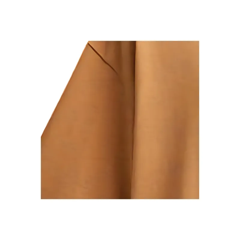 COACH SS24 Polo Shirt Men's Light Brown-5