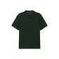 Forest Green 3YG