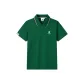 Pine Needle Green