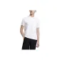 Standard White