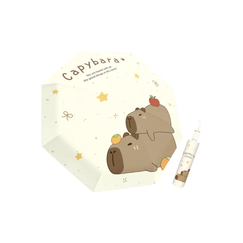 ZHIYU Umbrellas-6
