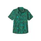 Conifer Green