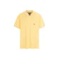 Apricot Yellow ZF0