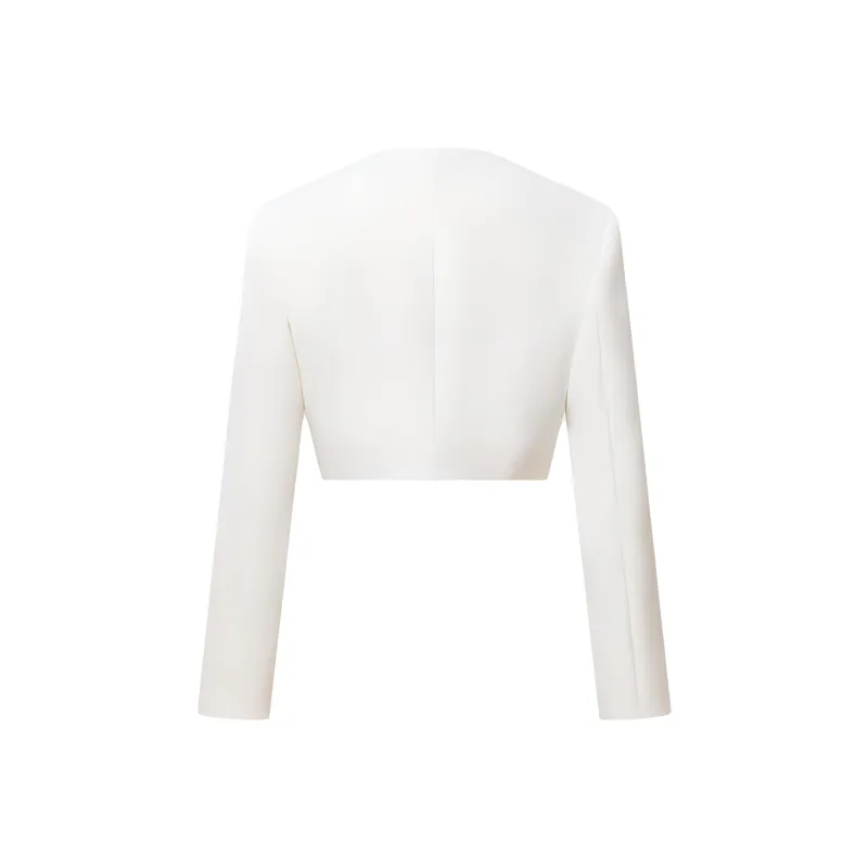 LOUIS VUITTON Cropped Jewel Button Mikado Jacket-1