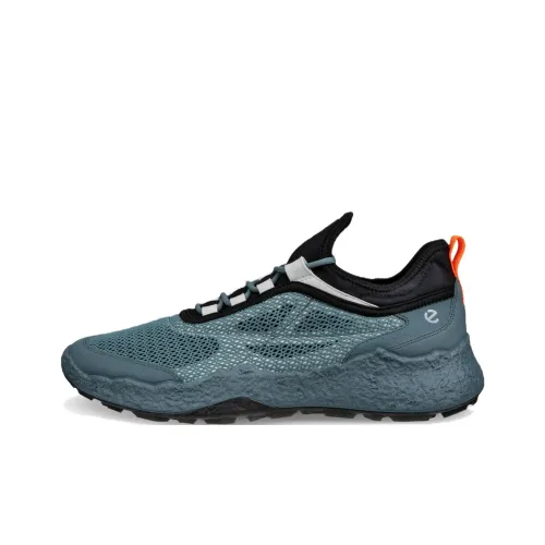 Ecco GOLF BIOM H5 Wear Resistant Low Top Golf Shoes Men's Dark Cyan