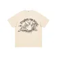 Light Beige Apricot