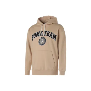 PUMA TEAM Hoodie TR Sweatshirt Men's Coffee
