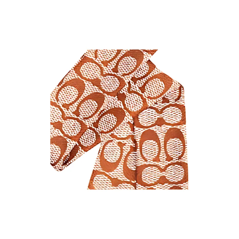 COACH Mulberry Silk Scarves Women's Amber-1
