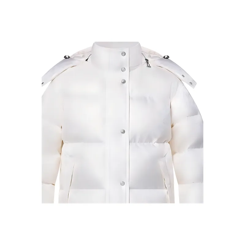 LOUIS VUITTON Monogram Puffer Jacket-3