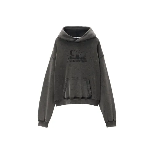 Alexander Wang Distressed Skyline Logo Graphic Hoodie