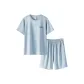 Light Gray Blue 5003