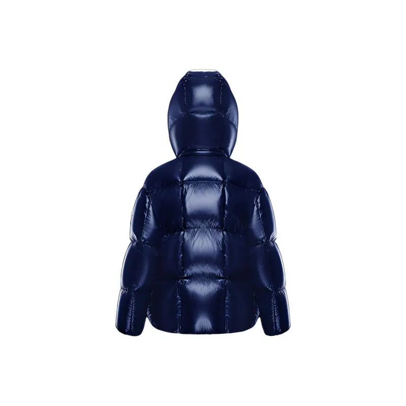 Moncler Parana Series Down Jacket Winter Women's Blue-1