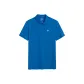 Klein Blue Color