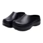 Obsidian Black