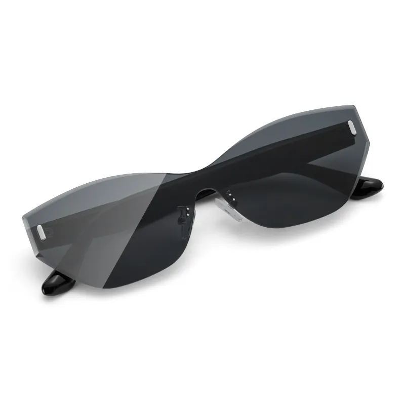 ENFANTIN PC Cat Eye Sunglasses Unisex-1