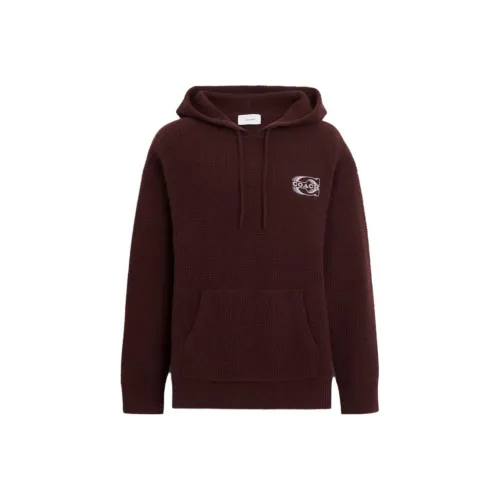 COACH FW23 Sweatshirt Men's Russet