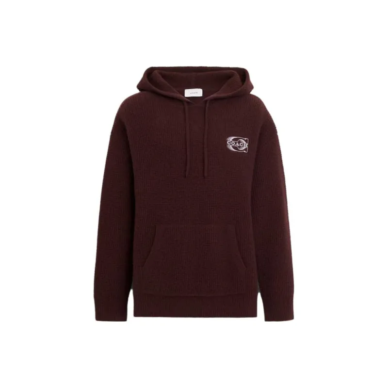 COACH FW23 Sweatshirt Men's Russet-0