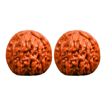 Xianyou Walnut Fine Handicraft Collectible Unisex
