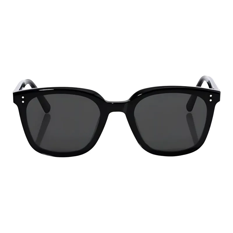 GENTLE MONSTER Butterfly Sunglasses Men's Black 1/Beige/Green/Black 2-1