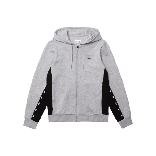 LACOSTE Sweatshirts Men Gray