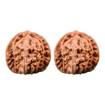 Xianyou Walnut Fine Handicraft Collectible Unisex