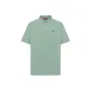 97 Spruce Green