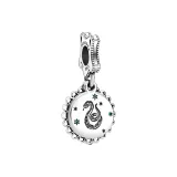 Slytherin Charm