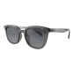 Gray | Polarized Gradient Gray-C02