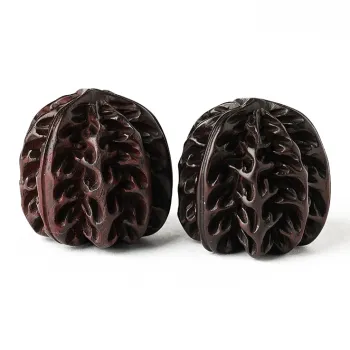 Santan Lodge Pterocarpus Pendants Unisex