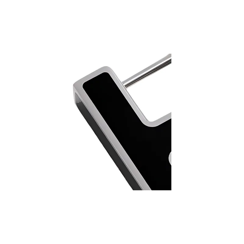 HERMES Metal Earrings Men's Black-2