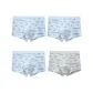 Light Blue, Light Blue, Light Blue, Light Green