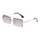 Gold Frame with Gradient Gray Lens (TY0044-3)
