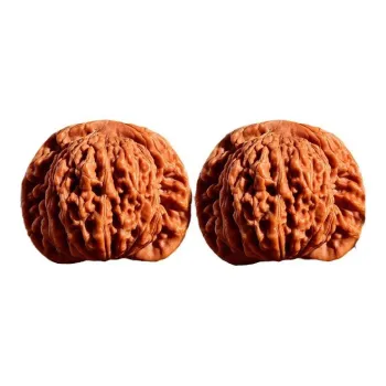 JIAOSHIYU Walnut Fine Handicraft Collectible Unisex
