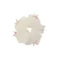Beige (5 Butterflies 5 Beads) 000202
