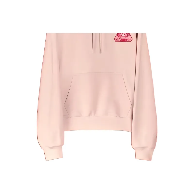 PALACE X GUCCI Tri-Ferg GG Patch Hoodie-2
