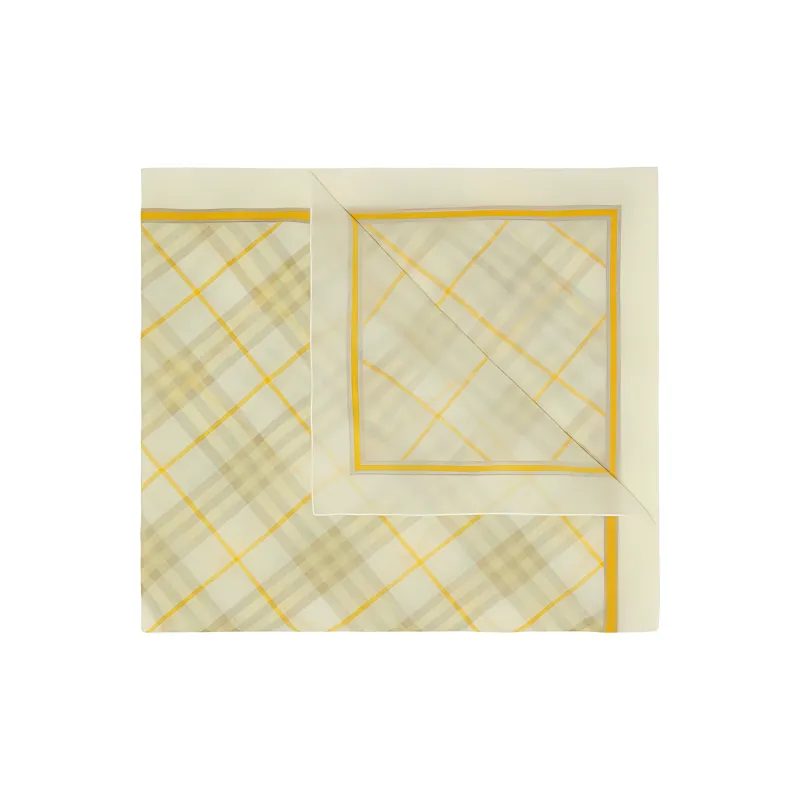 Burberry Checked Striped Border Scarf-1