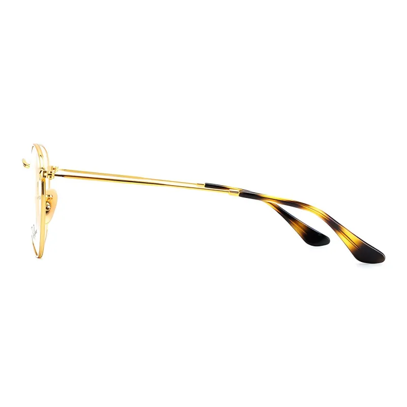 RayBan Round Frame Glasses-2