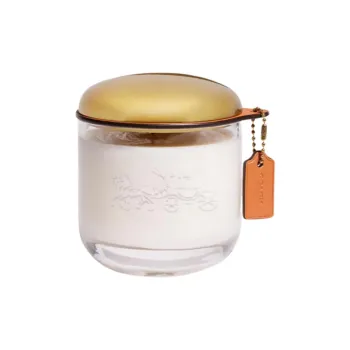 COACH Boxed Metal Bag Accessory Women's White