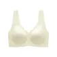 Champagne White