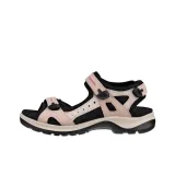 Pink Black