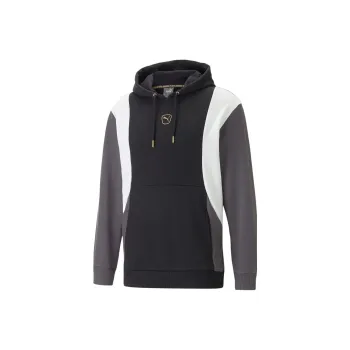 PUMA KING Top Football Hoodie Men Sweatshirt Men's Gray