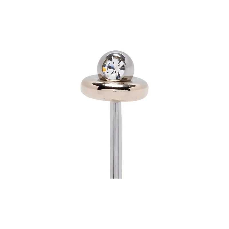JUSTINE CLENQUET Mary Earring-2