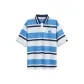 Blue Stripes