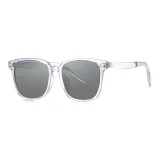 Transparent Gray | Transparent Gray Full Color Lens-C02