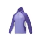Aster Color/004N