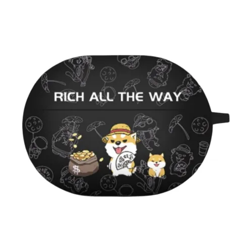CHRROTA Headphone Cases