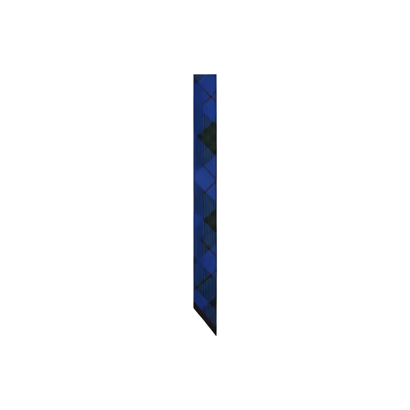 Burberry Silk Scarves Unisex Blue-1